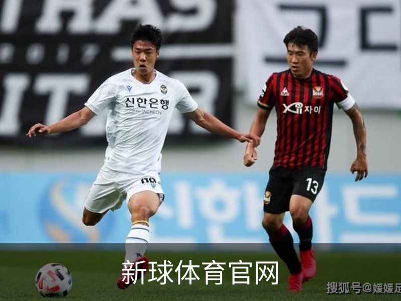 关于新球体育官网